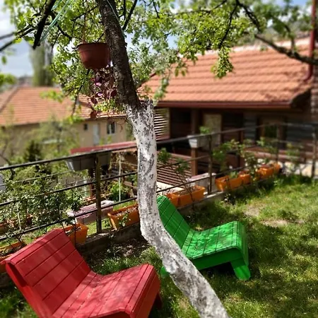 Bungalow 3 With 1 Room Apartment