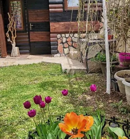 Bungalow 3 With 1 Room Sarajevo